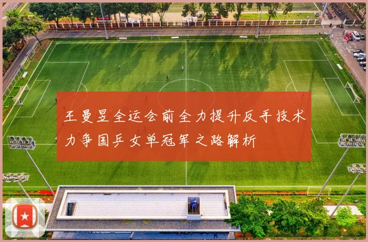 王曼昱全运会前全力提升反手技术力争国乒女单冠军之路解析