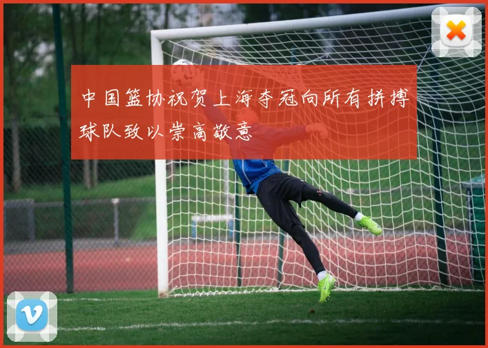中国篮协祝贺上海夺冠向所有拼搏球队致以崇高敬意